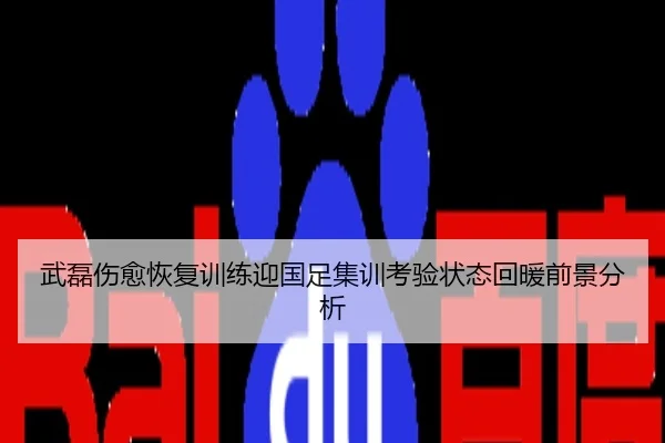 武磊伤愈恢复训练迎国足集训考验状态回暖前景分析